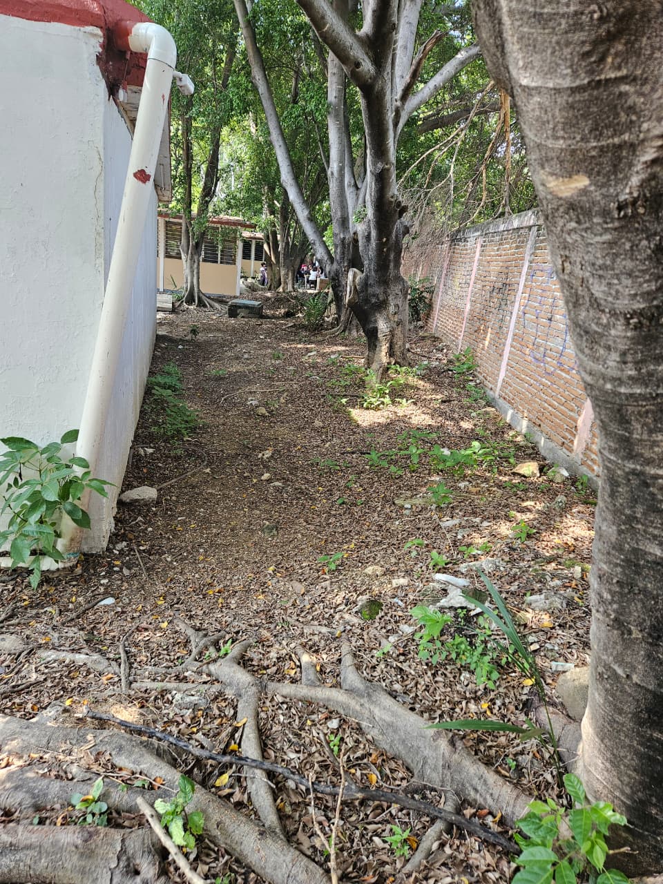 Seminario Profesional