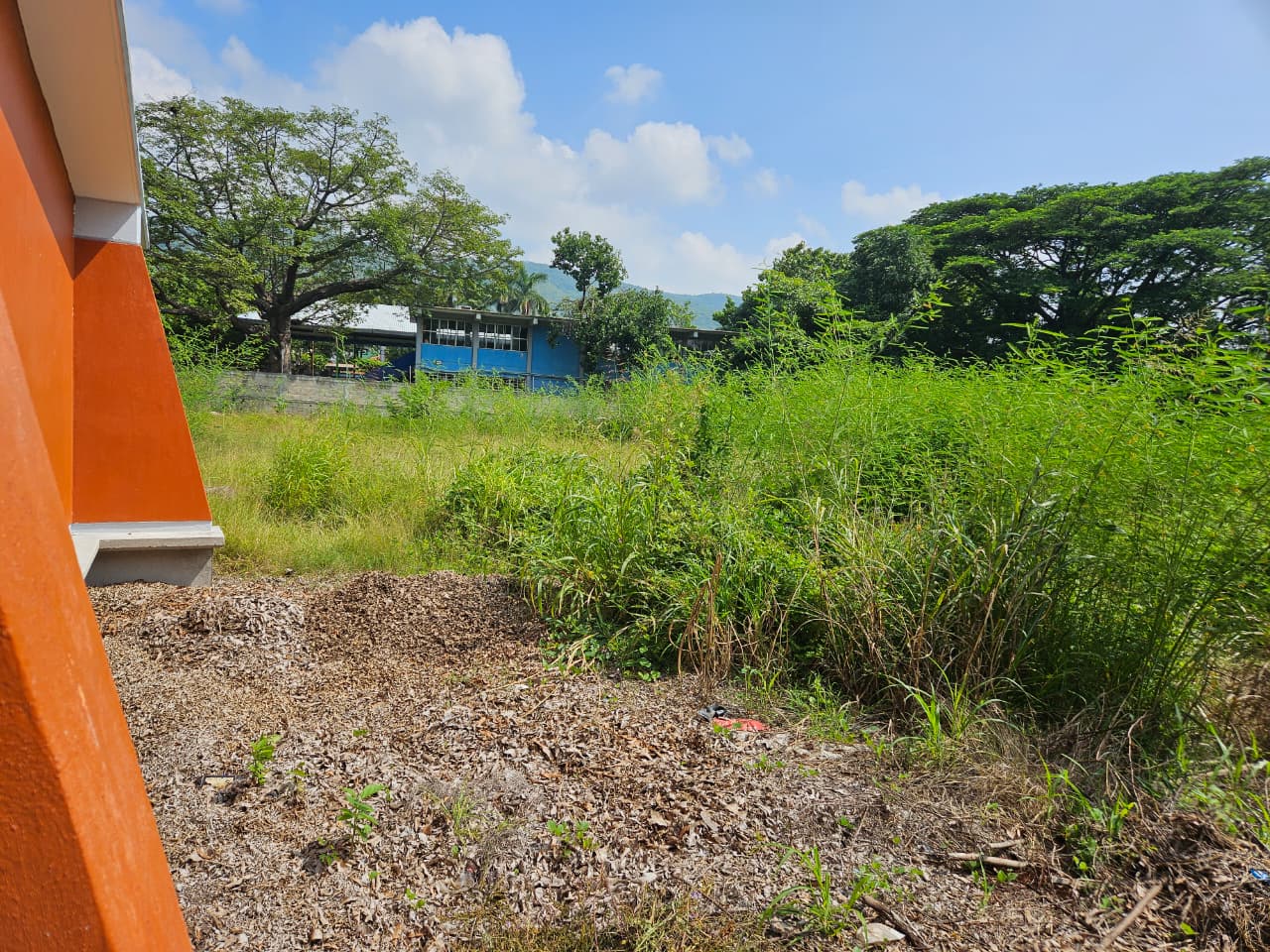 Foto de la reunión 10