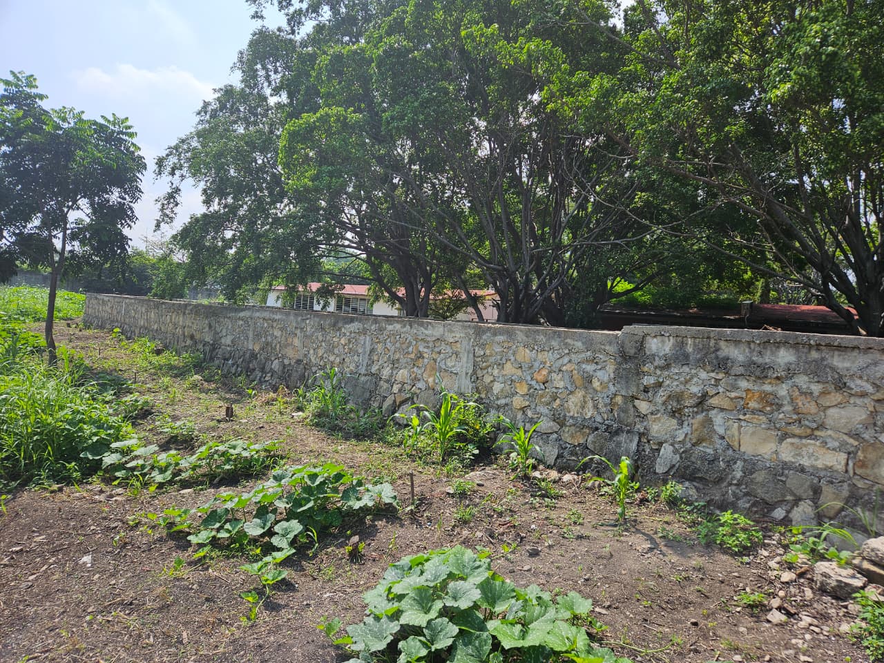 Foto de la reunión 11