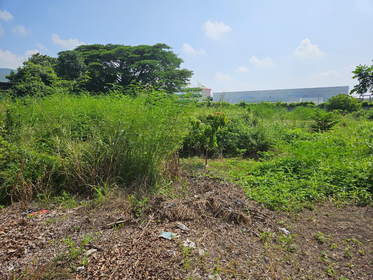 Foto de la reunión 12