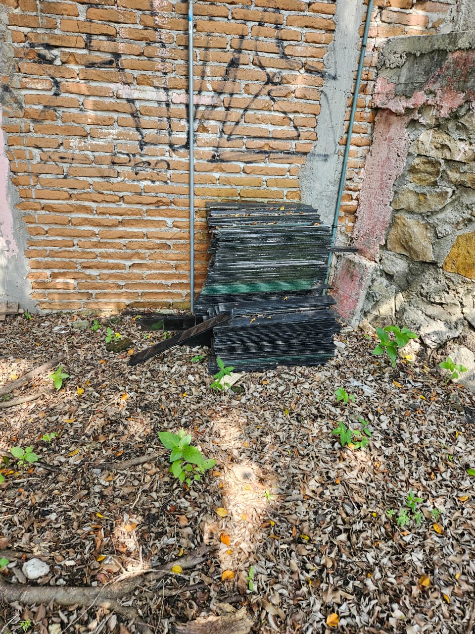 Foto de la reunión 13