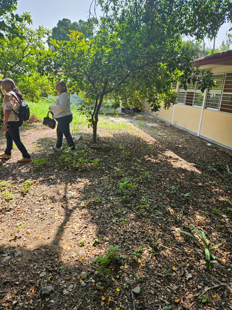 Foto de la reunión 16