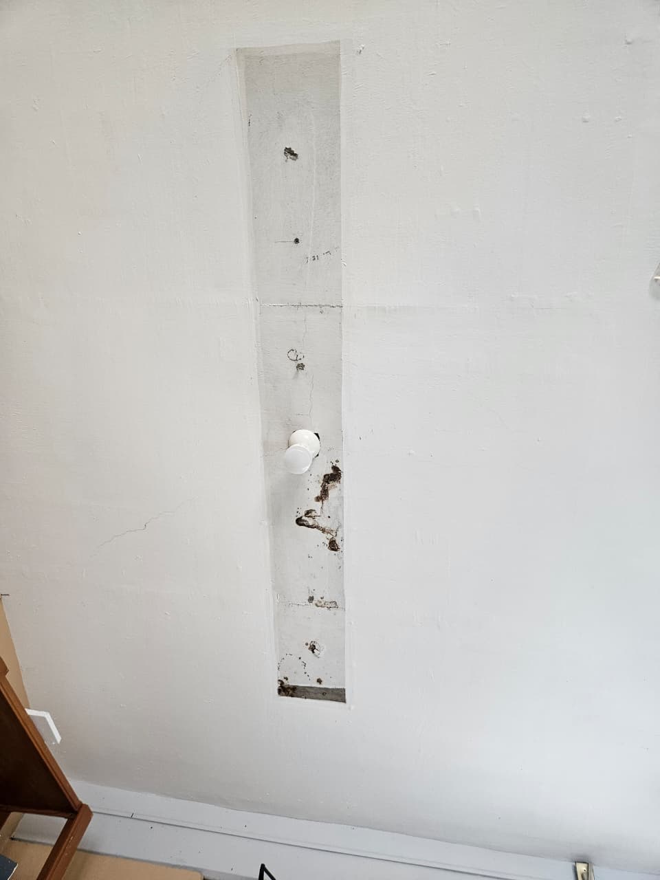 Foto de la reunión 4