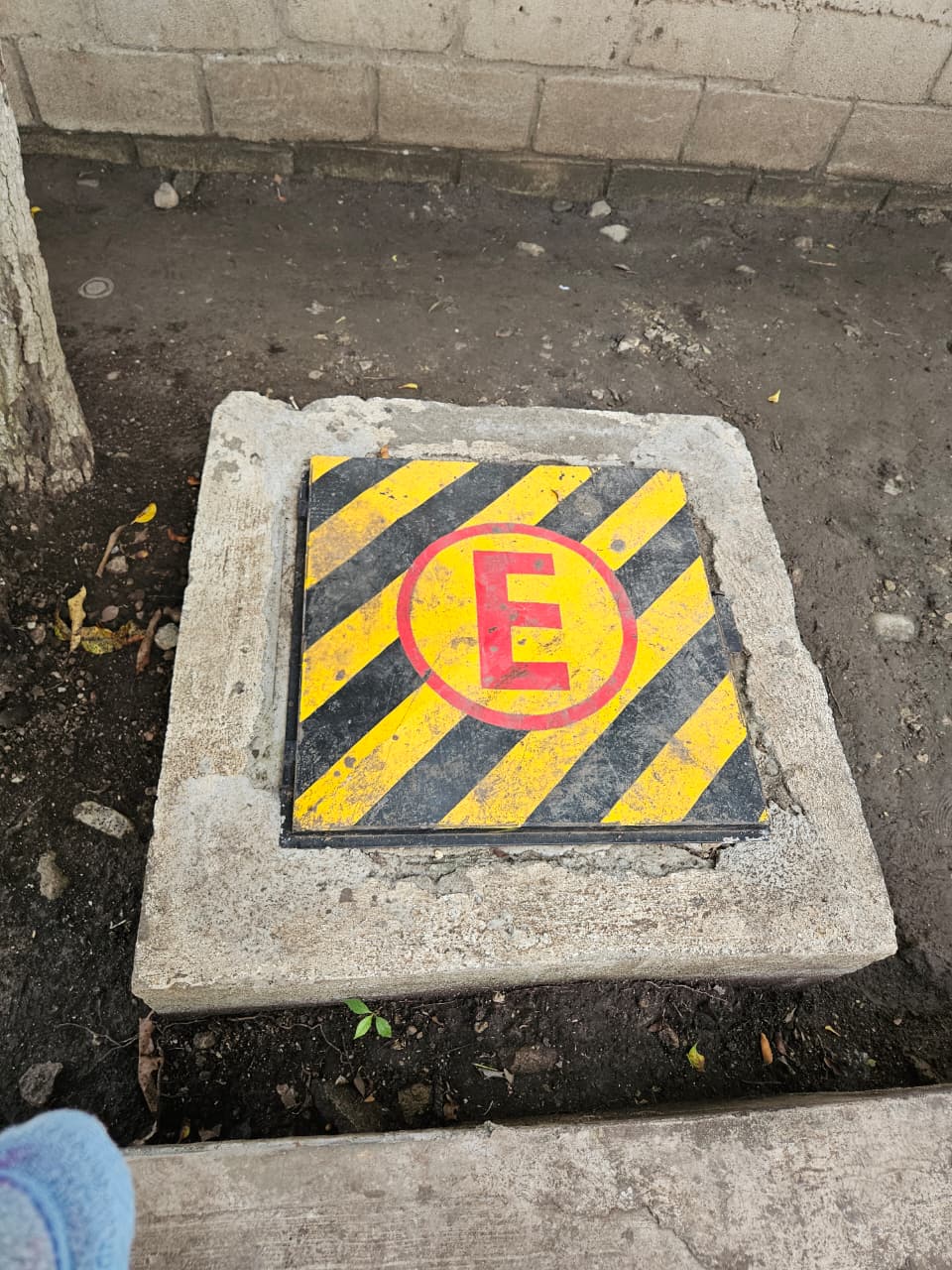 Foto de la reunión 5