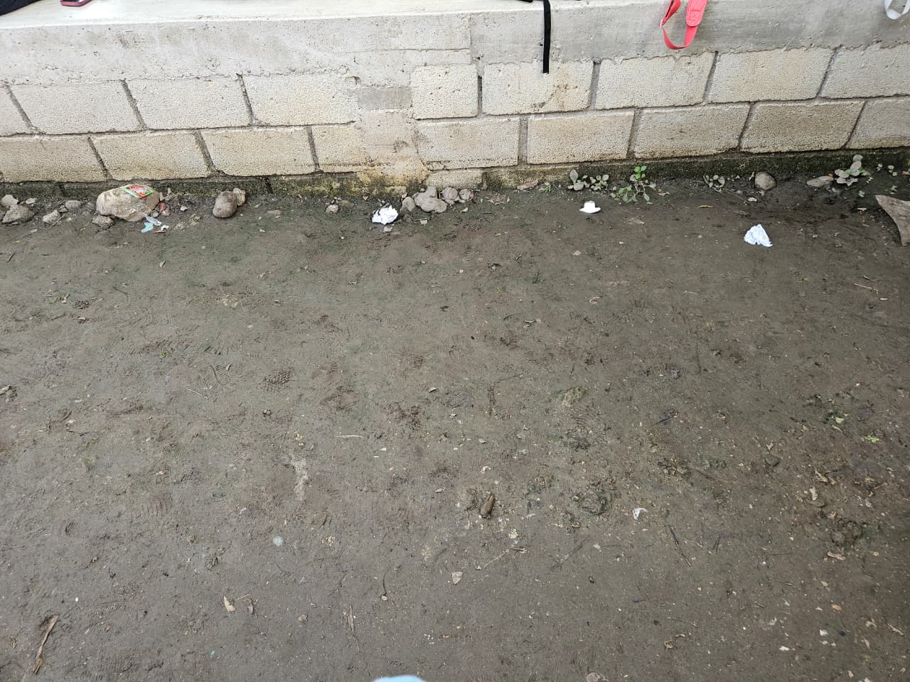 Foto de la reunión 6